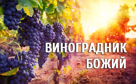 Виноградник Божий