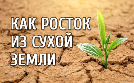 Как росток из сухой земли