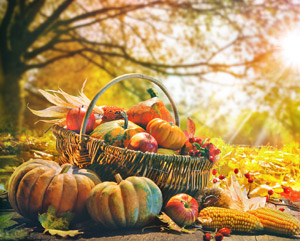 Праздник жатвы 2025