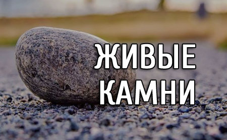 Живые камни