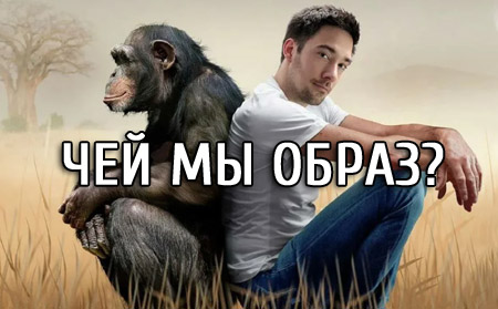 Чей мы образ?
